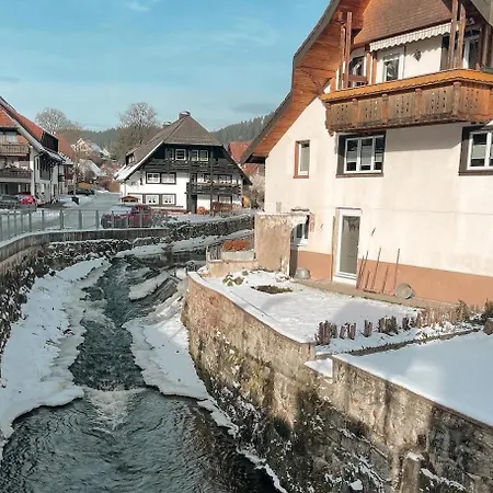 Gemütliche Dachgeschosswohnung Mit Balkon Lenzkirch
